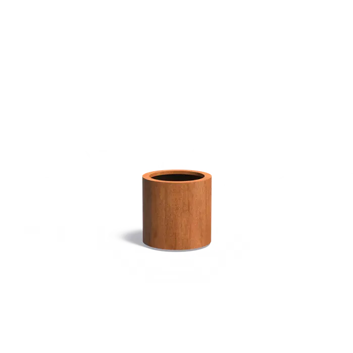 LOOP